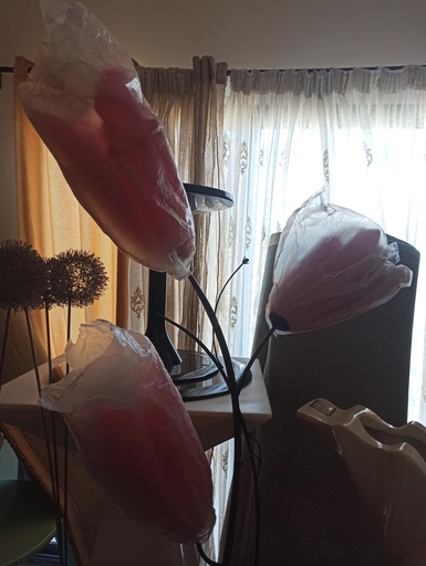 Abas jours 3 fleur rose